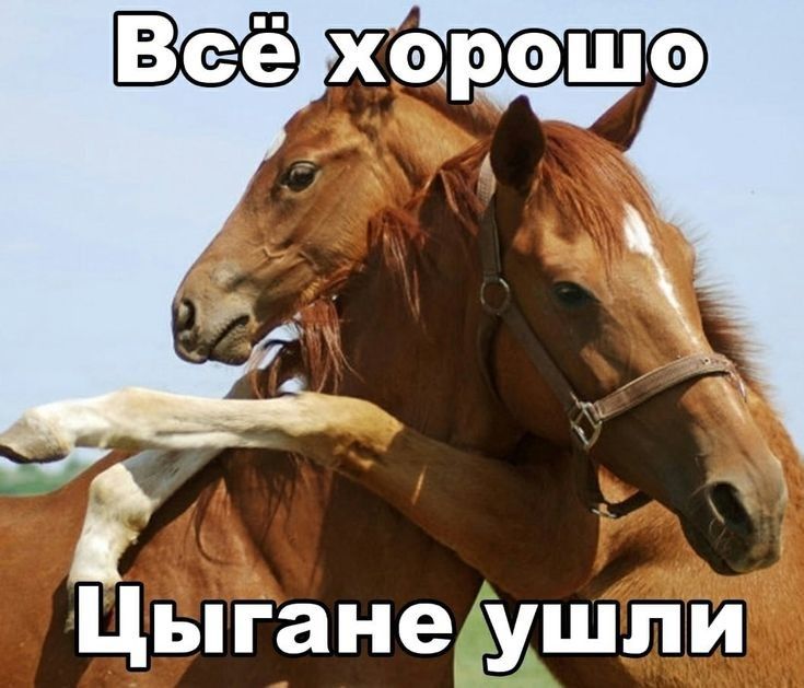 Цыгане ушли