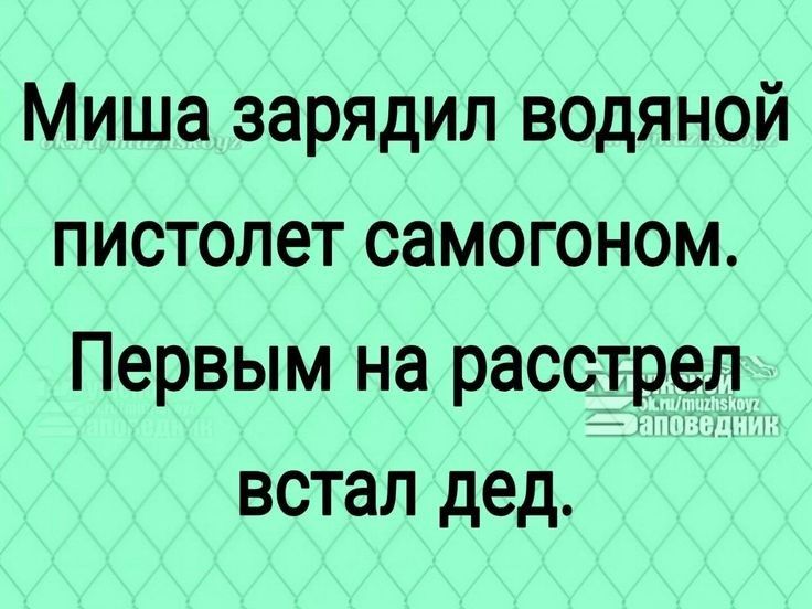 Миша зарядил водяной пистолет самогоном Первым на расстрел встал дед