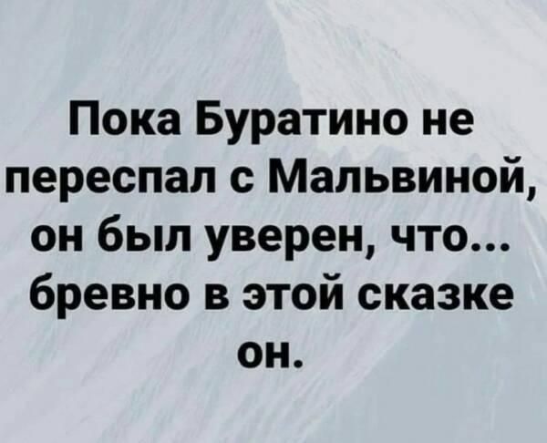 Пока Буратино не переспал с Мальвиной он был уверен что бревно в этой сказке он