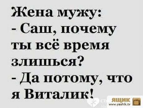 Жена мужу Саш почему ты всё время злишься Да потому что я Виталик ящик 8