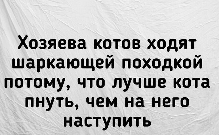 Хозяева котов ходят шаркающей походкой потому что лучше кота пнуть чем на него наступить