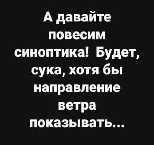 А давайте повесим синоптика Будет сука хотя бы направление ветра показывать