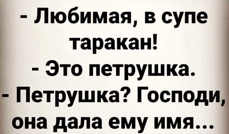 Любимая в супе таракан Это петрушка Петрушка Господи она дала ему имя