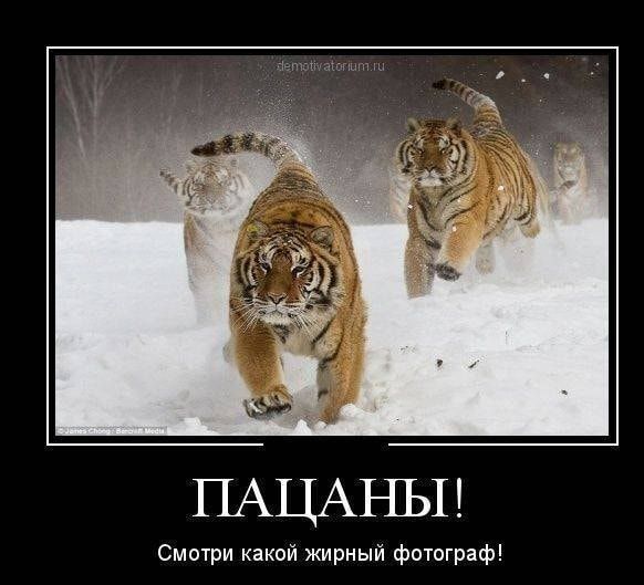 ПАЦАНЫ Смотри какой жирный фотограф