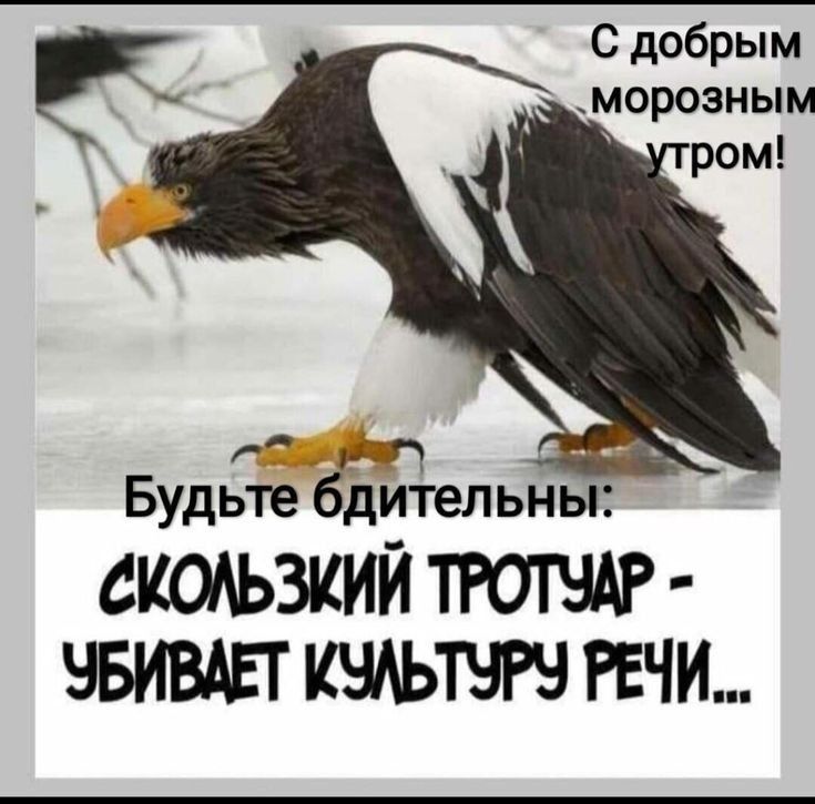 С добрым морозным оаййа Будьте бдительны СКОЛЬЗКИЙ ТРОТУАР УБИВАЕТ КУЛЬТУРУ РЕЧИ