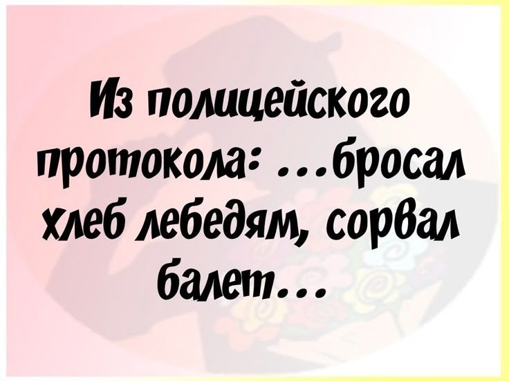 ИЗ полицейского протокола бросал хлеб лебедям сорвал балет