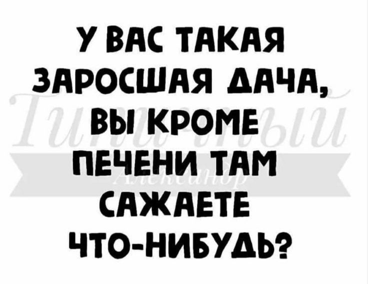 У ВАС ТАКАЯ ЗАРОСШАЯ ДАЧА ВЫ КРОМЕ ПЕЧЕНИ ТАМ САЖАЕТЕ ЧТО НИБУДЬ