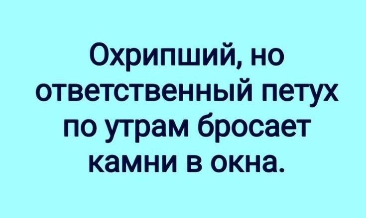 Охрипший но ответственный петух по утрам бросает камни в окна