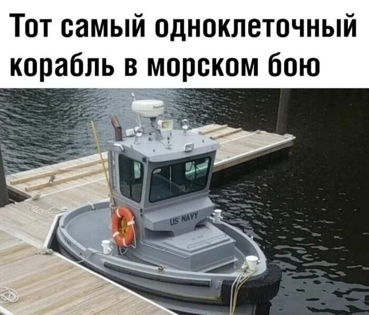 Тот самый одноклеточный корабль в морском бою