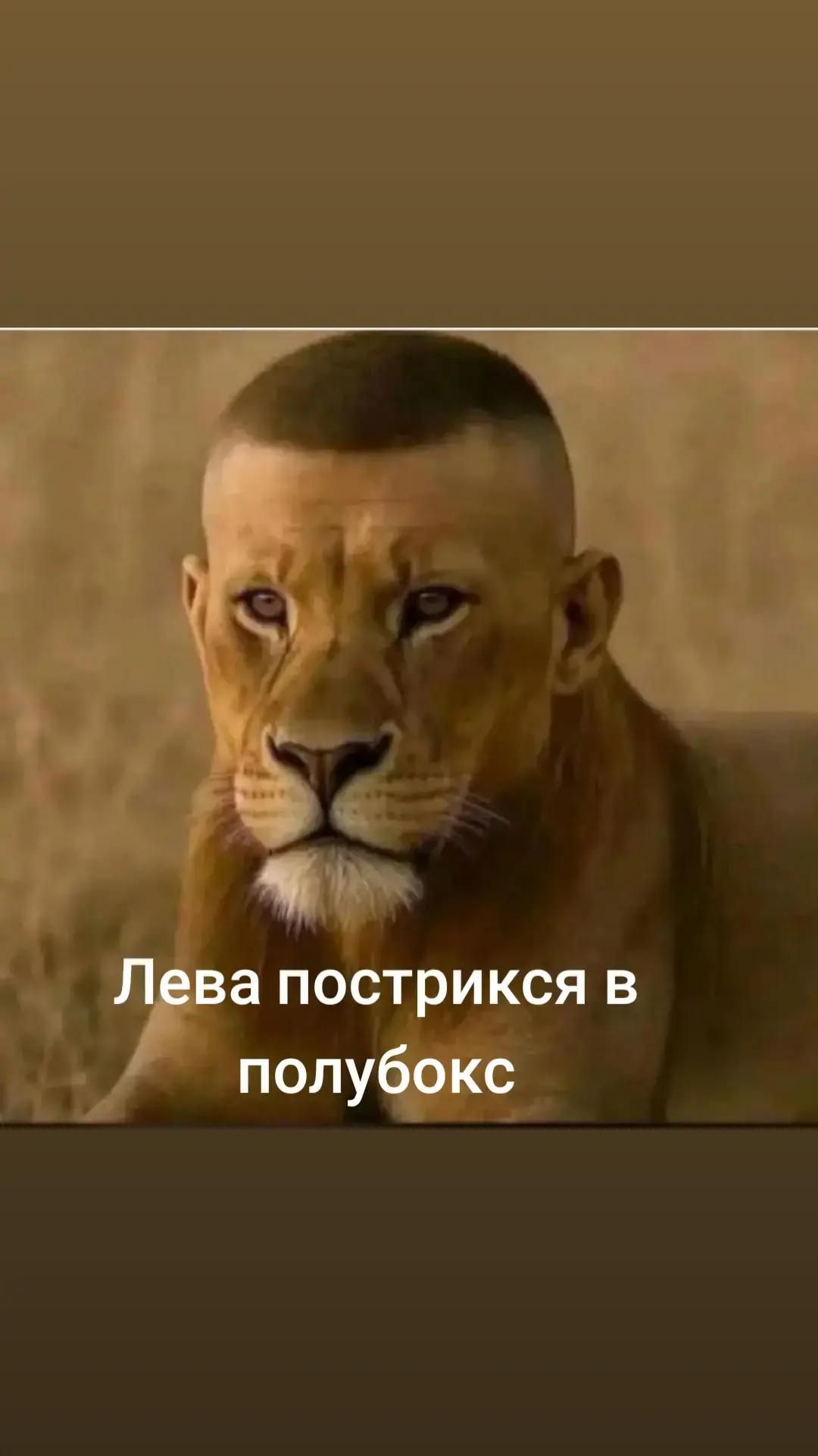 Лева постригся в полубокс