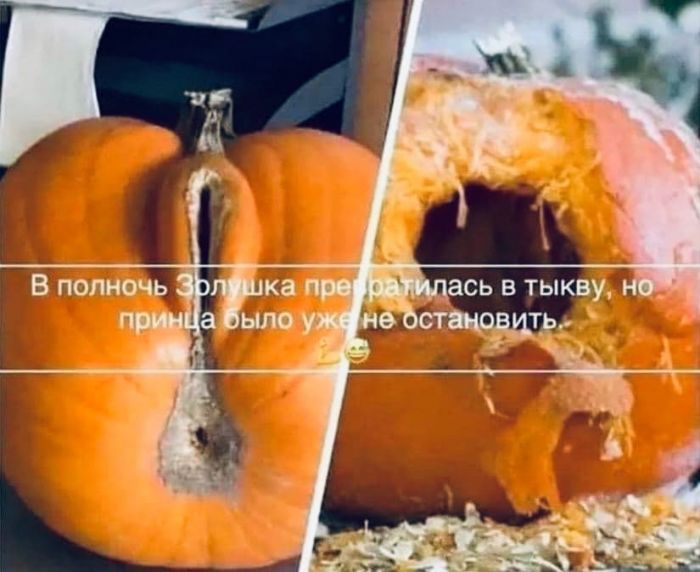 В полночь Золушка превратилась в тыкву, но принца было уже не остановить