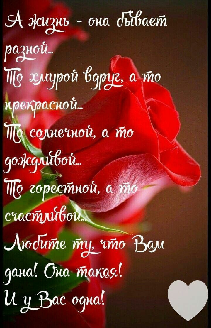 3517 дна моют Р ТЁЁРОЙ 69 0 Стеной Ссуіііешдй то защ26011 30 ётной ГДЁЁі СС Аюсійте тто Эша Он Щётка и 1506 09