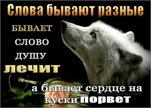 ВЛПВЗ бывают ПЗЗНЫВ БЫВАЕТ СЛОВО ЁЁБЮрдце на ттцопвет