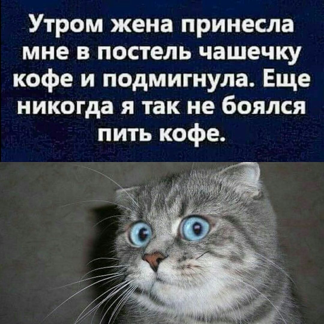 Утром жена принесла мне в постель чашечку кофе и падмигнула Еще никогда я так не боялся пить кофе