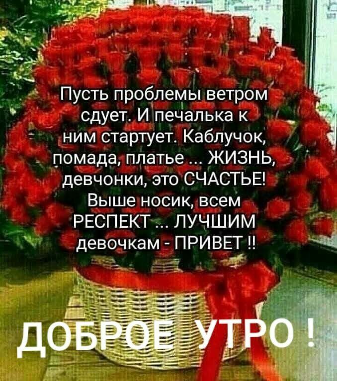 Пусть проблемы ветром сдует И печалька к ним стартует Каблучок помада платье ЖИЗНЬ девчонки это СЧАСТЬЕ Выше носик всем РЕСПЕКТ ЛУЧШИМ девочкам ПРИВЕТ