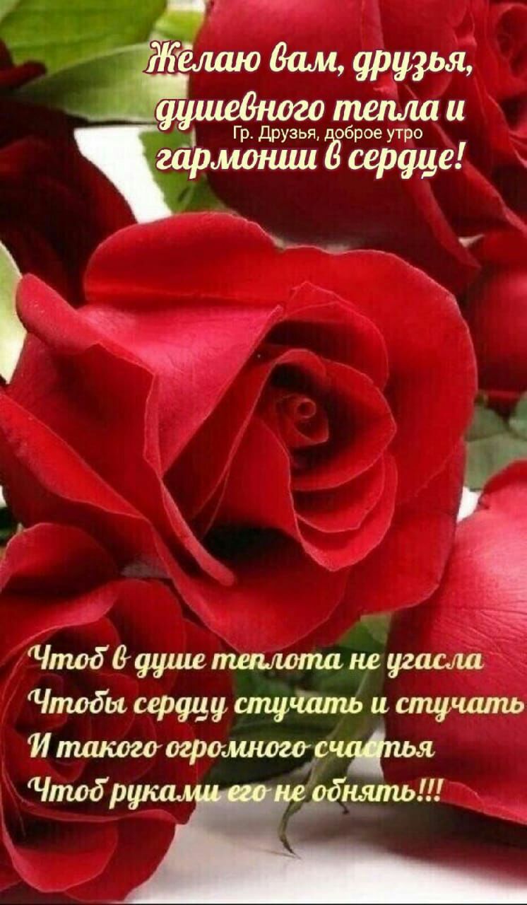 гр друзья Чёрмошшй серти 2 Чпшддууиштшлопшгуугшш Чпшды серф ислцршть