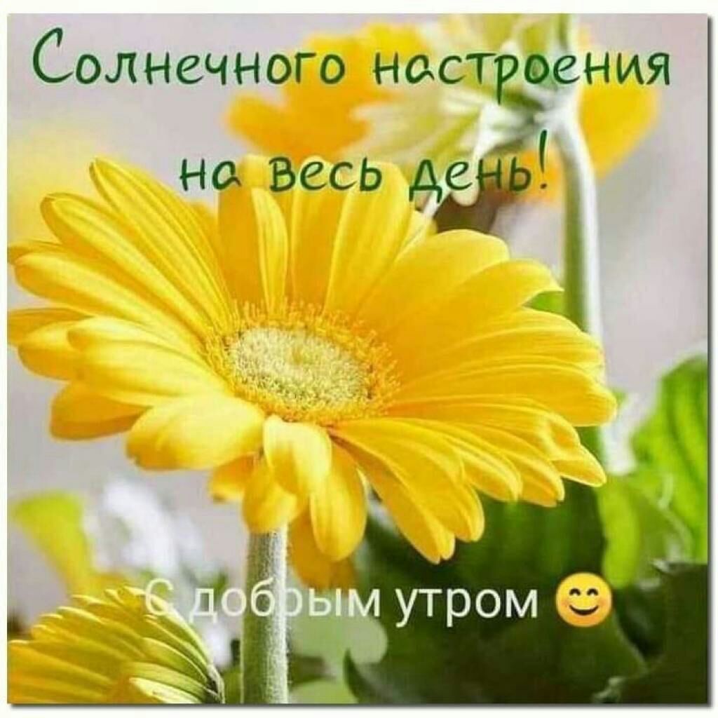 Солнечного наст щения