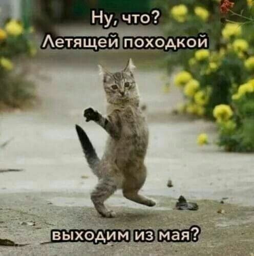 Ну что Аетящейтпрхмкой