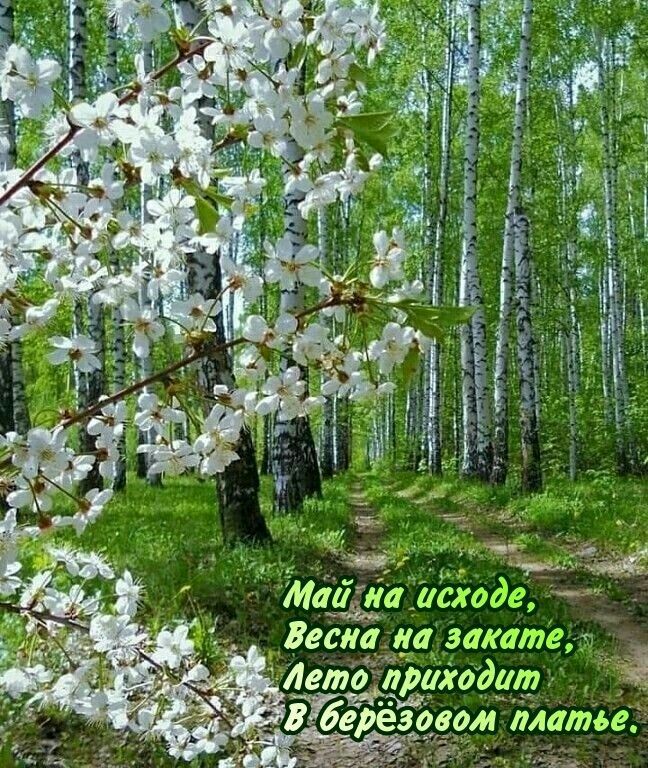 ім Щш 0 а АМ к д и ц Вешала заіиигд Лет рахоідат 0 _ром длатае