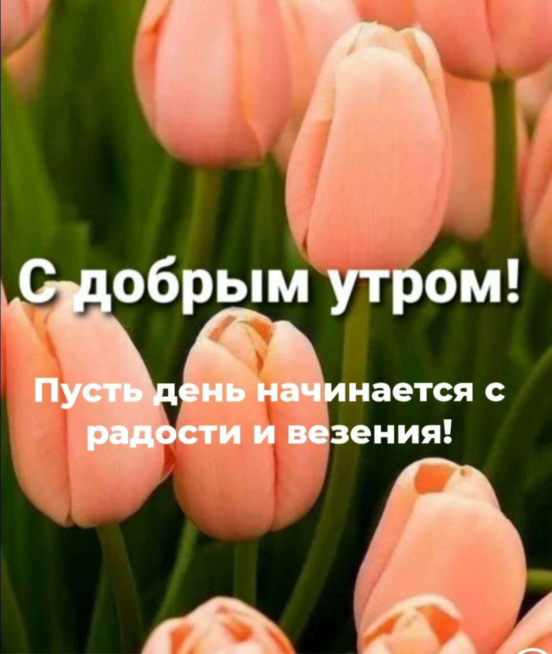 нается с зения
