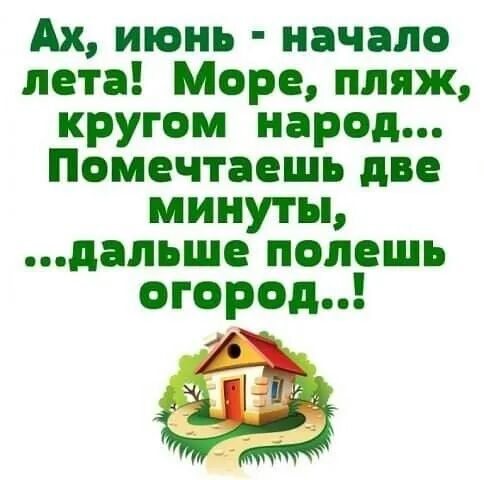 Ах июнь начало пета Море пляж кругом народ Помечтаешь две минуты дальше полешь впредь