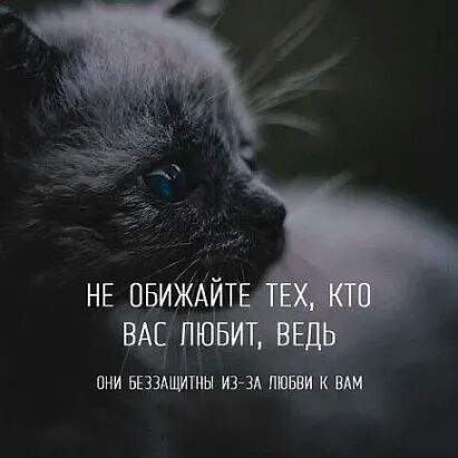 НЕ ПБИЖАИТ шчштг ОНИ БЕЗЗАЩИТИН ИЪЗА ПП