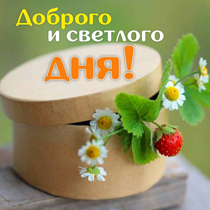 И СВСТАОГО