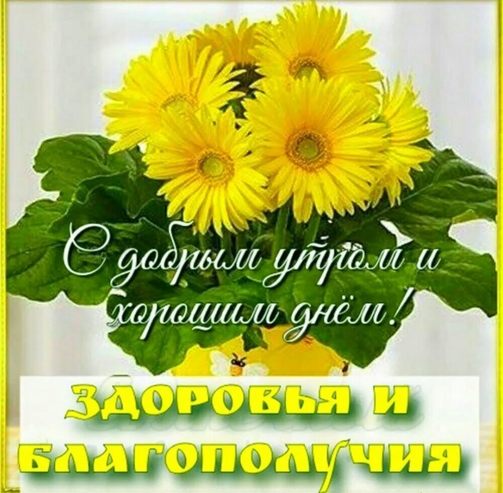 60 йодидаро Ялдім