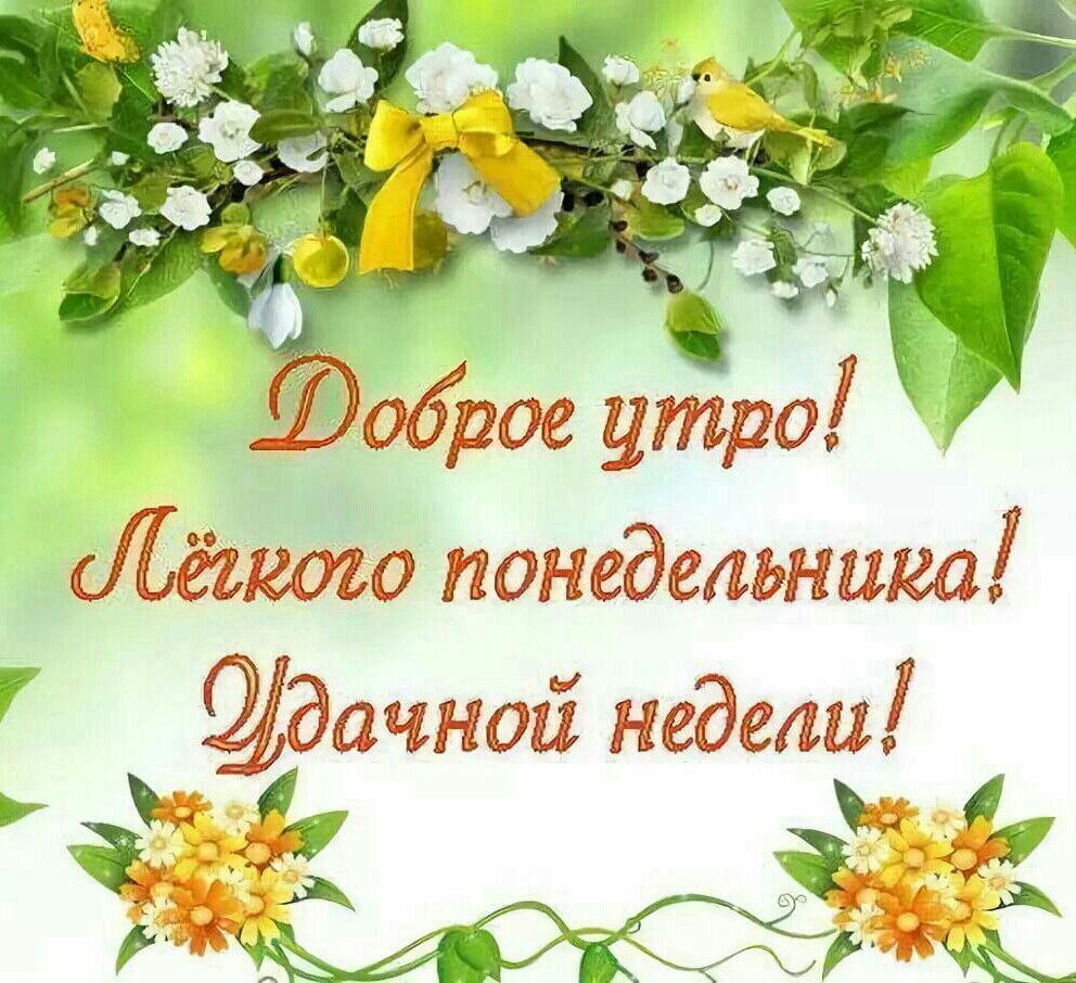 сЁёшозо понедельника дачной недели ___ о т