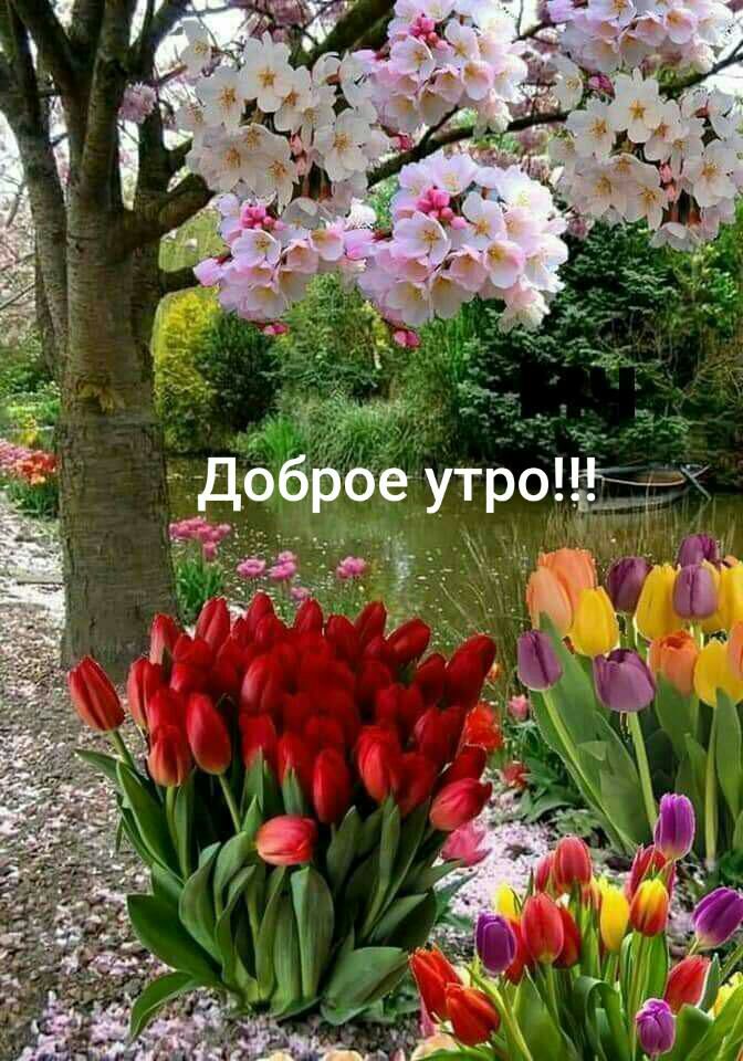 В ,   а ё 8 па е