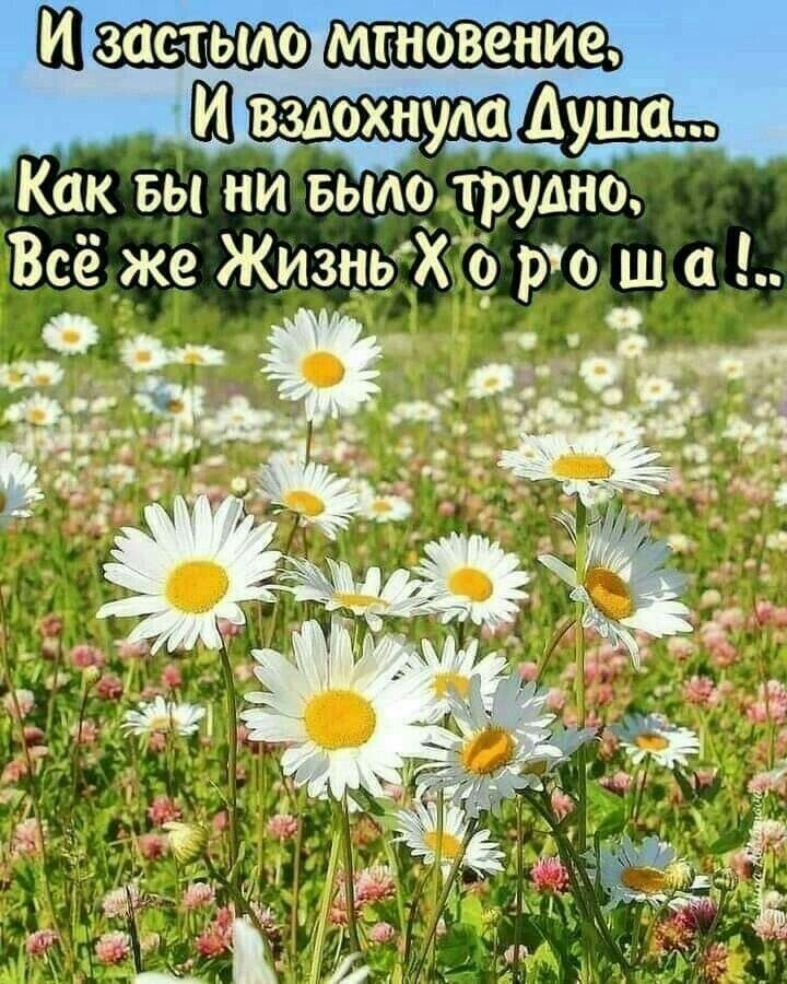 Ш мгновение Ш вздохнула Как вы ни Было трушю Всёже Жизних ро ш