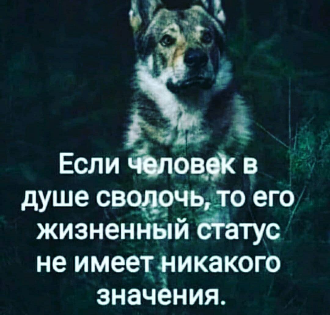 Если 103 в душе своём ть о его жизненНый тус не имеетіникакого значёния