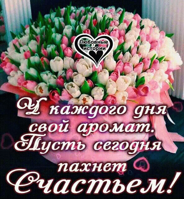 йахнвт частъем