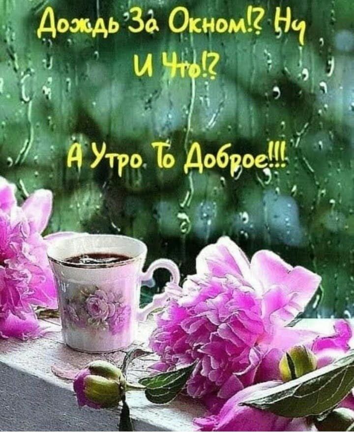 Дождь Зі ОкномЙ Н 1 2 ч _ Ч _ 74 11 13 довиг 3