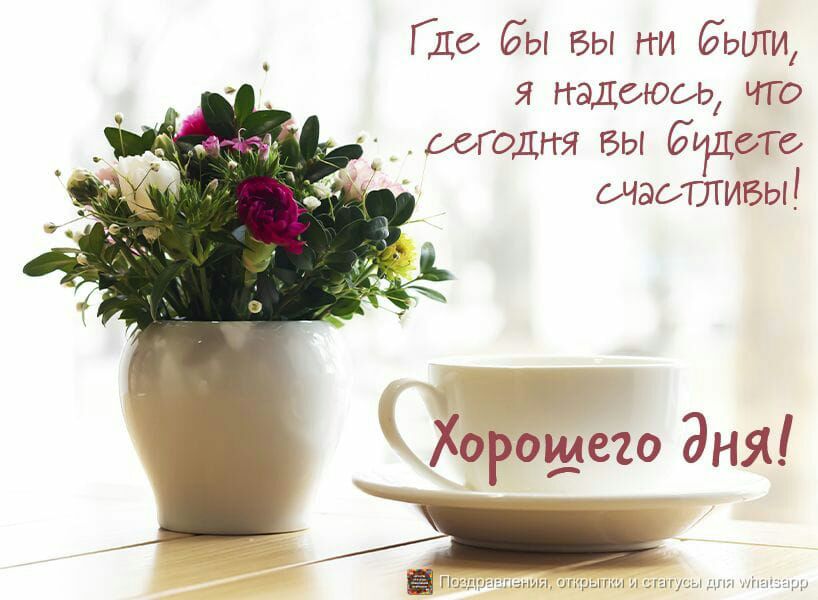 Где Бы вы ни 6ЬЩИ я наДбЮЫа что игодггя БЫ БДбтс очаилигзы Хорошего дня ЁГ