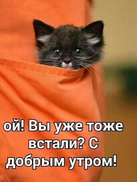 ФИ ВЁЩуже Ъбже Ьетатлиіг С дГФЁРЫМ утром