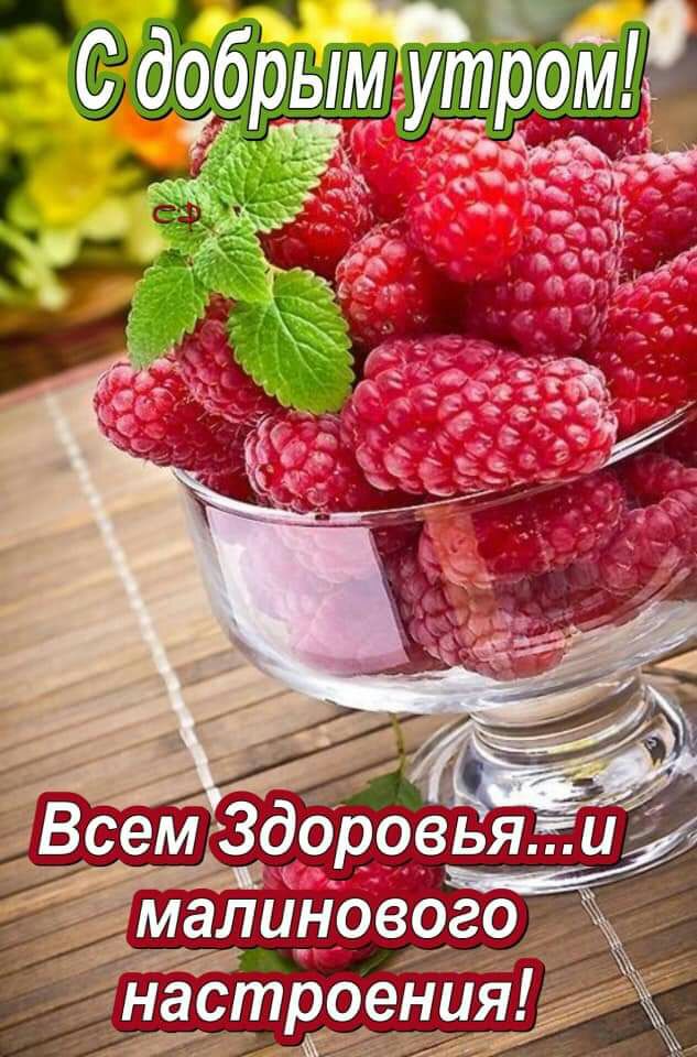 С добрым ут ром