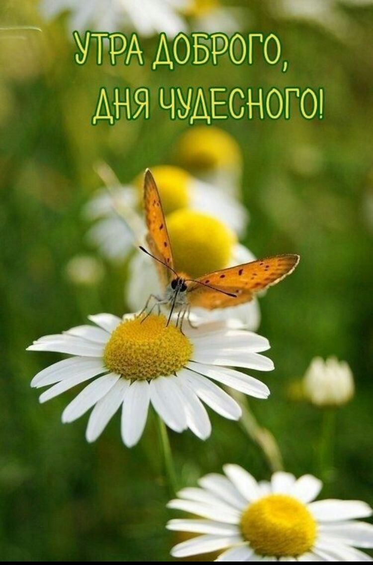 Утра доьрого дня чудесного! Ы ч  и