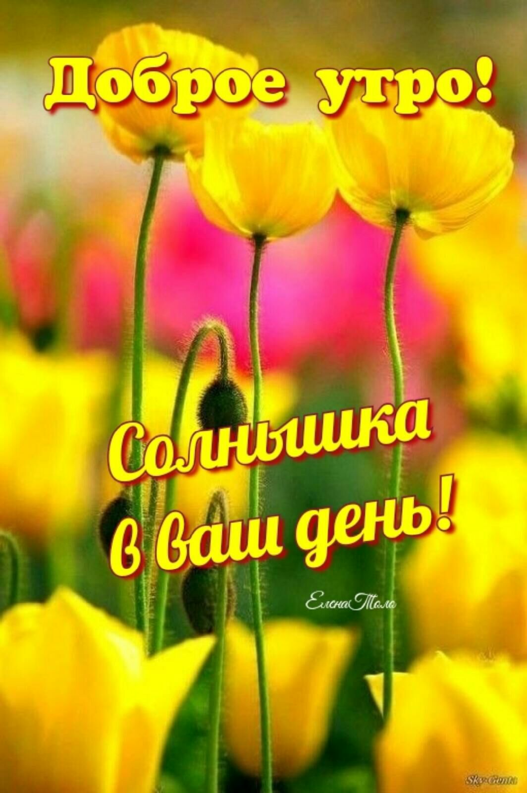 Уини
