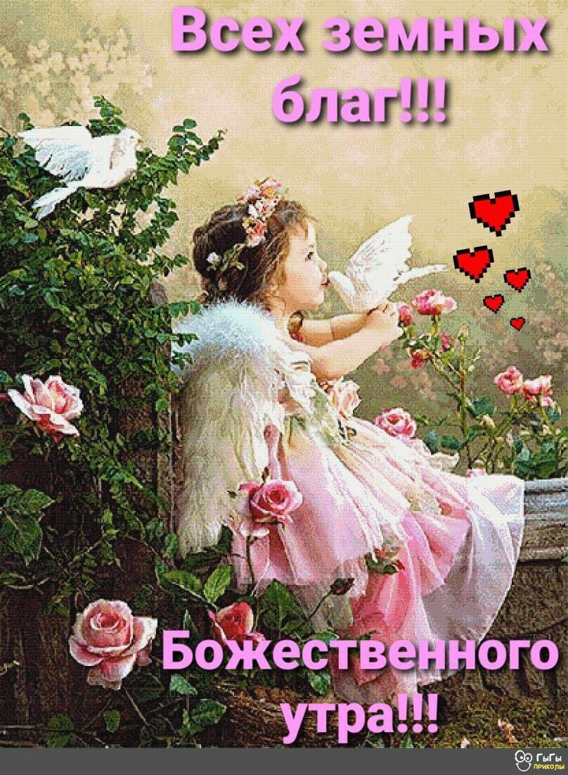 53535 зэшныд у ЭЛЕЛМ