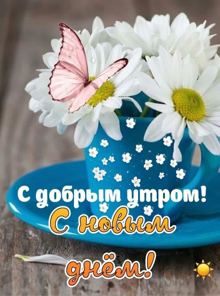О на 01 д в с добрьам шрот