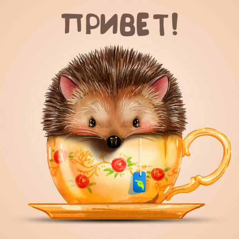 Т!ривеёт!