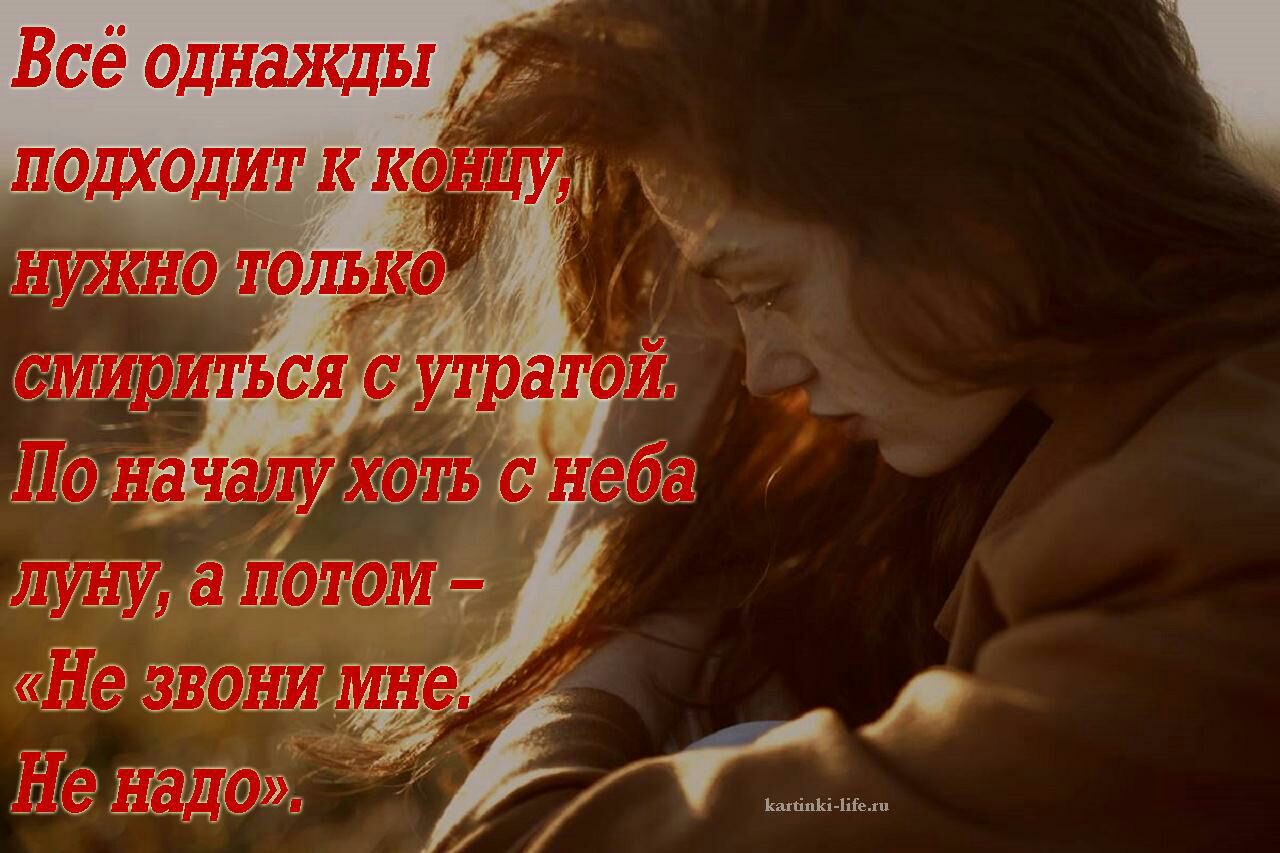 Всё одншкцы Ши ттт д