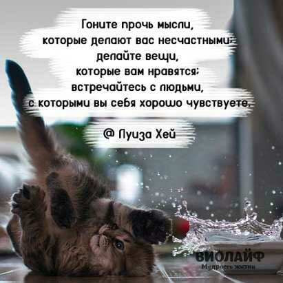 Гоише прпчв иыспц которые пепают вас несчастными цепайте вещи котрые вии прописи встречийтесь людьми которыми вы себя хорошо чувствуе