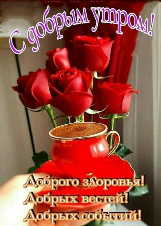 ЯАТъс ццсг