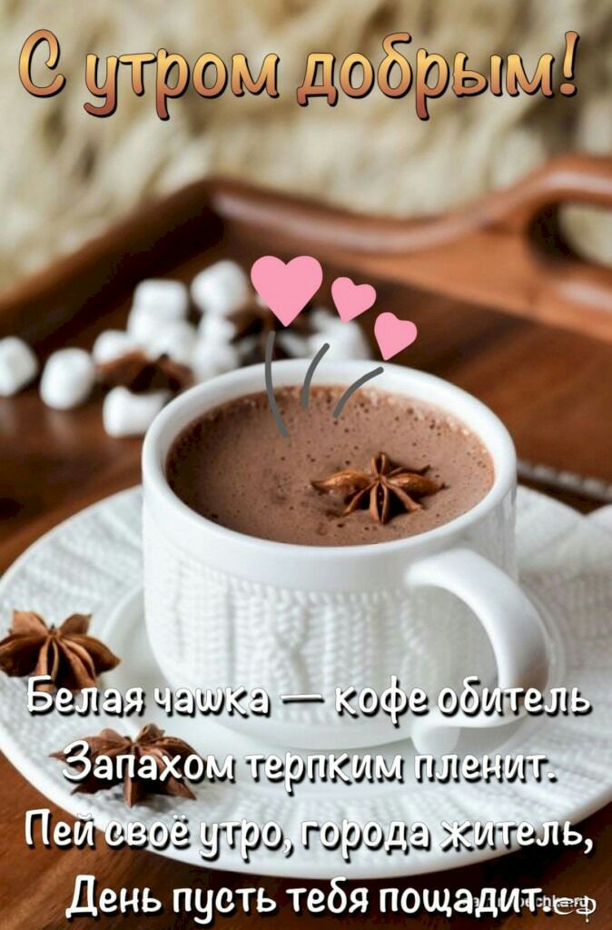 1 вшэ чашка 599 999139919 гарикшм ила шгг ё 99 Г999да 3391 _День пусть тея пощадитаеэ