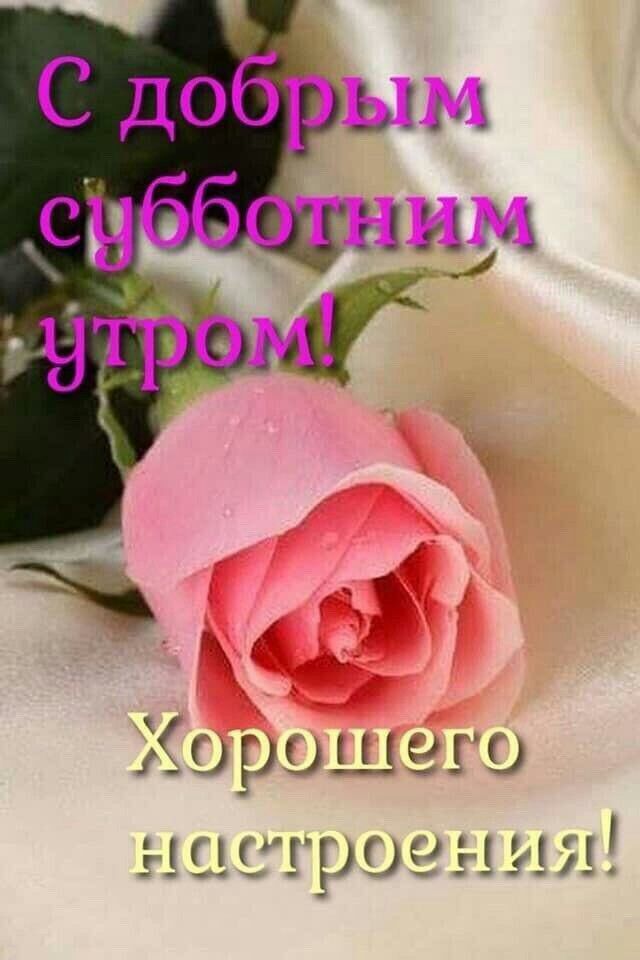 21011909 г