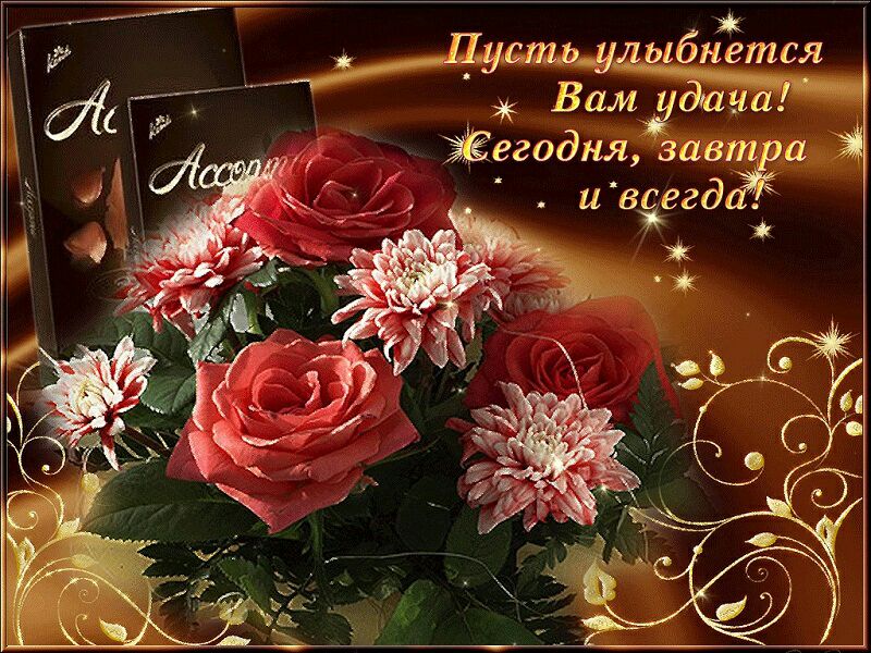 гг к Вам иа Жегодня зав а 3 и всегд