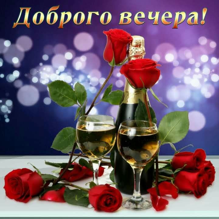 Добр ог вечера 5
