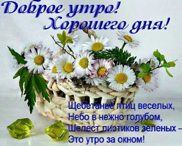 Это ут ро за окн юм!